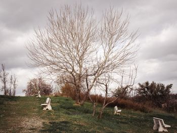 Bare trees on grassy field against cloudy sky