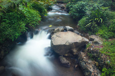 Stream flowing through rocks in forest