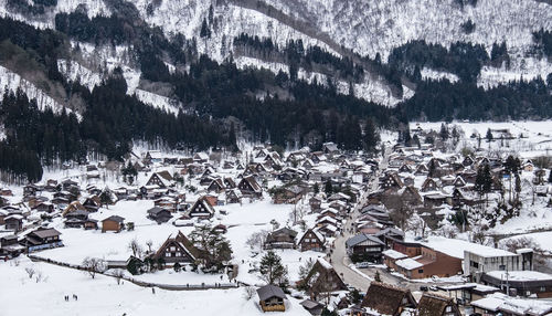 High angle view of snow covered trees and buildings