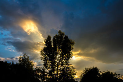 Silhouette of trees against cloudy sky