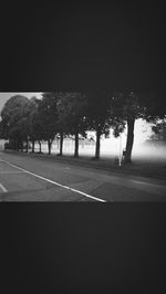 Road along trees at night