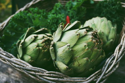 Close-up of artichokes in basket