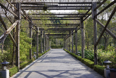 Walkway through tunnel made by wood in a park