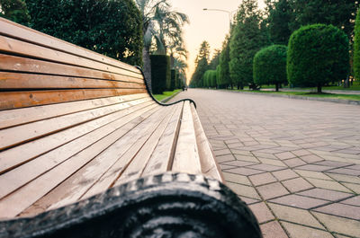 Footpath in park