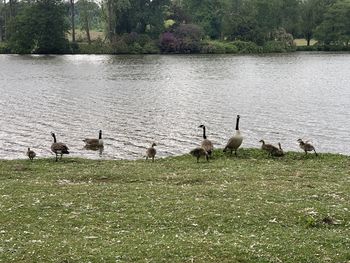 Scenic view of lake