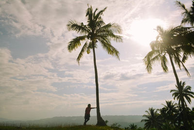 Scenic view of palm trees against sky