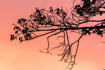 Low angle view of silhouette tree against sky at sunset