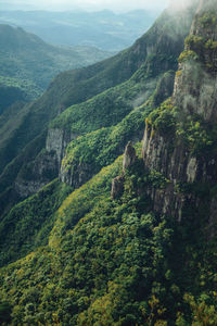 Fortaleza canyon with steep rocky cliffs covered by forest and fog, near cambará do sul, brazil.