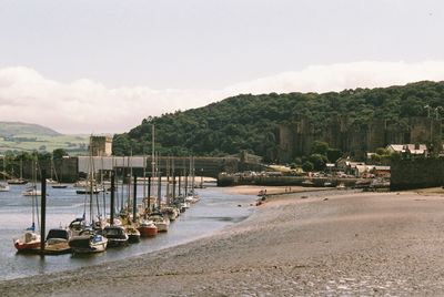 Boats moored at harbor in city against sky