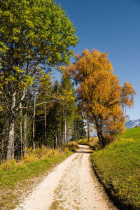 Road amidst trees against sky during autumn