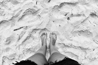 Low section of person standing on beach