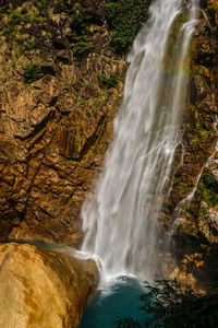 Scenic view of waterfall in forest