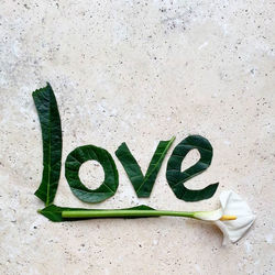 Close-up of text messages made with flowers on stone table 