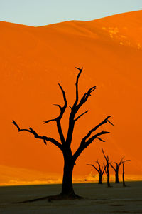 Silhouette tree on sand against sky during sunset