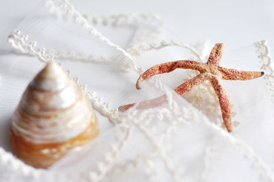 High angle view of seashell with fabric and dry starfish on table