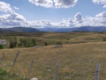 Scenic view of field against sky