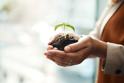 Midsection of woman holding plant