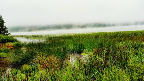 Scenic view of landscape against cloudy sky