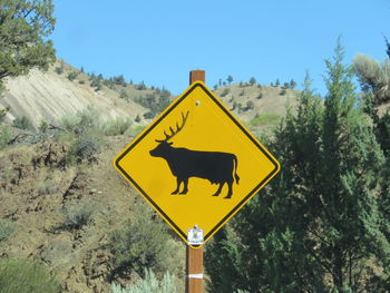 Close-up of road sign against sky