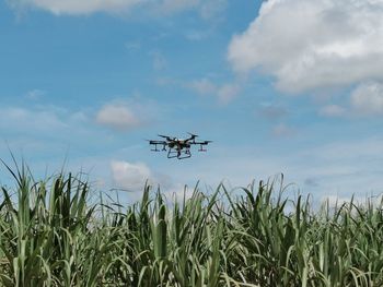 Drone for agriculture purpose, foliar fertilizer application