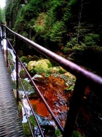 Close-up view of railing