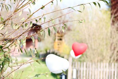 Close-up of heart shaped balloons hanging on fence
