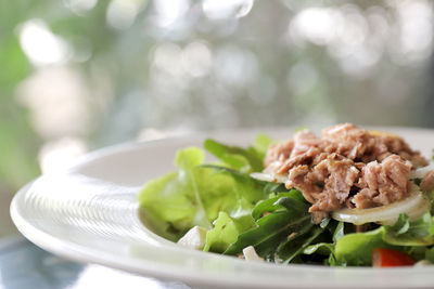 Close-up of meal served in plate