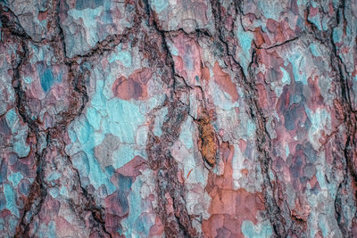 Full frame shot of tree trunk against wall