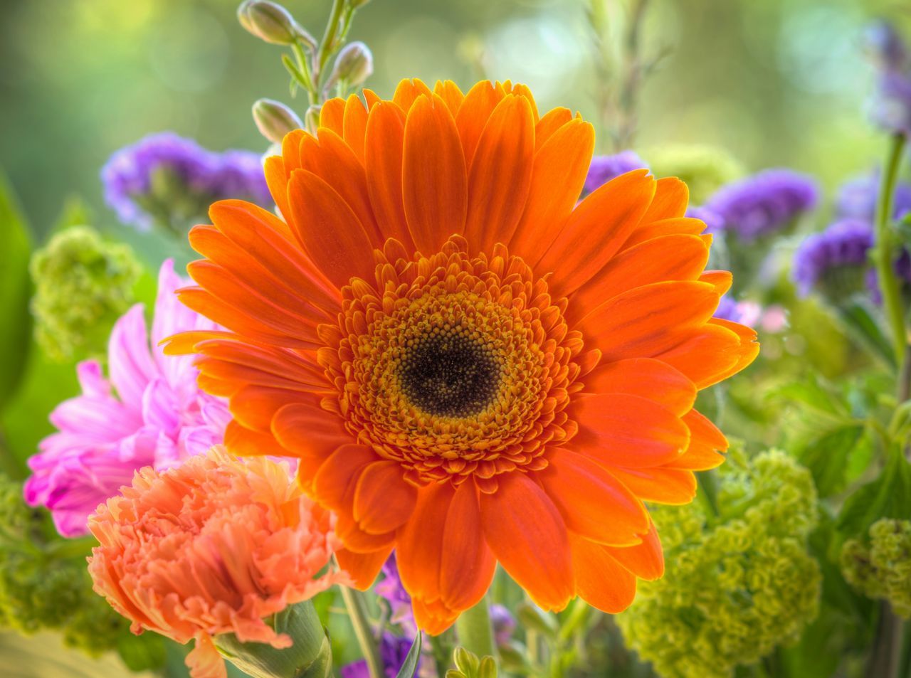 flower, petal, freshness, flower head, fragility, beauty in nature, close-up, growth, focus on foreground, blooming, nature, orange color, plant, pollen, in bloom, yellow, single flower, day, park - man made space, no people