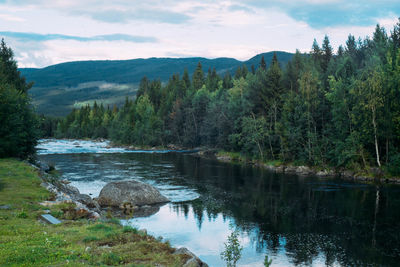 Scenic view of lake in forest against sky