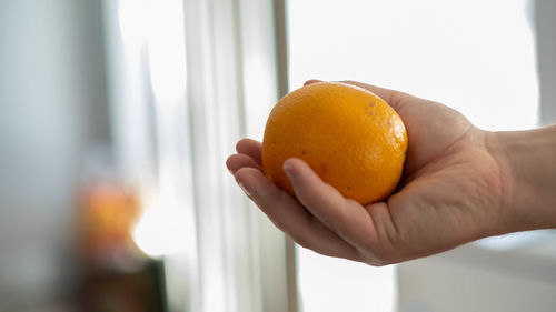 Close-up of hand holding orange slice