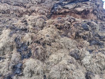 Full frame shot of rock