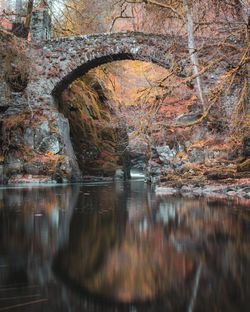 Reflection of trees in lake