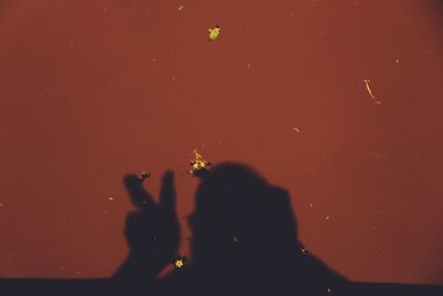 Silhouette of man photographing against sky