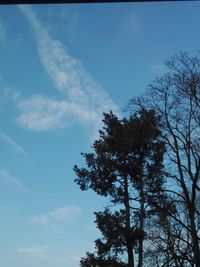 Low angle view of silhouette tree against sky