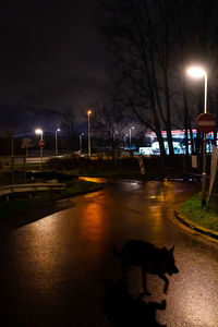 View of illuminated street at night