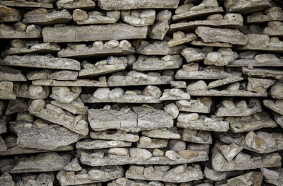 Full frame shot of logs in forest