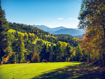 Scenic view of trees by mountains against sky during autumn