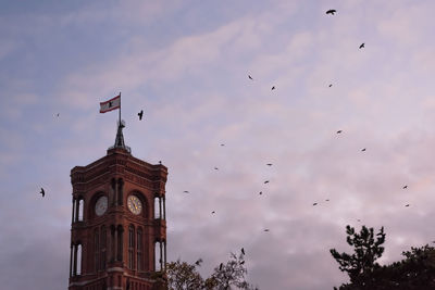 Low angle view of birds flying in building