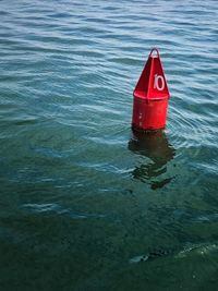 High angle view of red floating on water