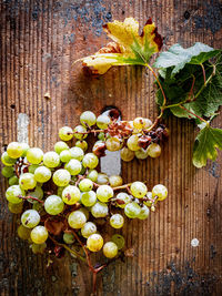 High angle view of fruits growing on table