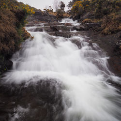 Scenic view of waterfall in forest