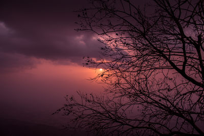 Low angle view of silhouette bare tree against sky at sunset