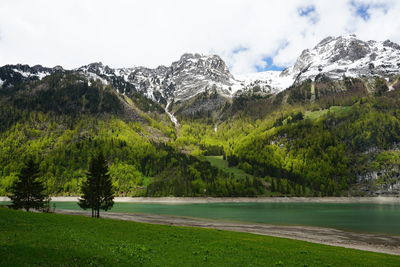 Scenic view of lake by trees against sky