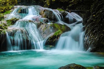 Scenic view of waterfall in forest