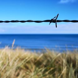 Barbed wire on sea shore against sky