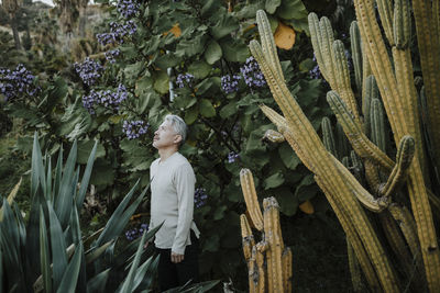 Mature man looking up while standing amidst plants in garden