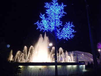 Firework display at night