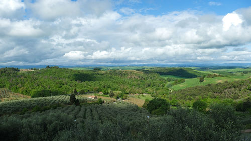 Scenic view of agricultural field against sky