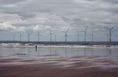 A person looks out to sea towards a wind turbine farm.